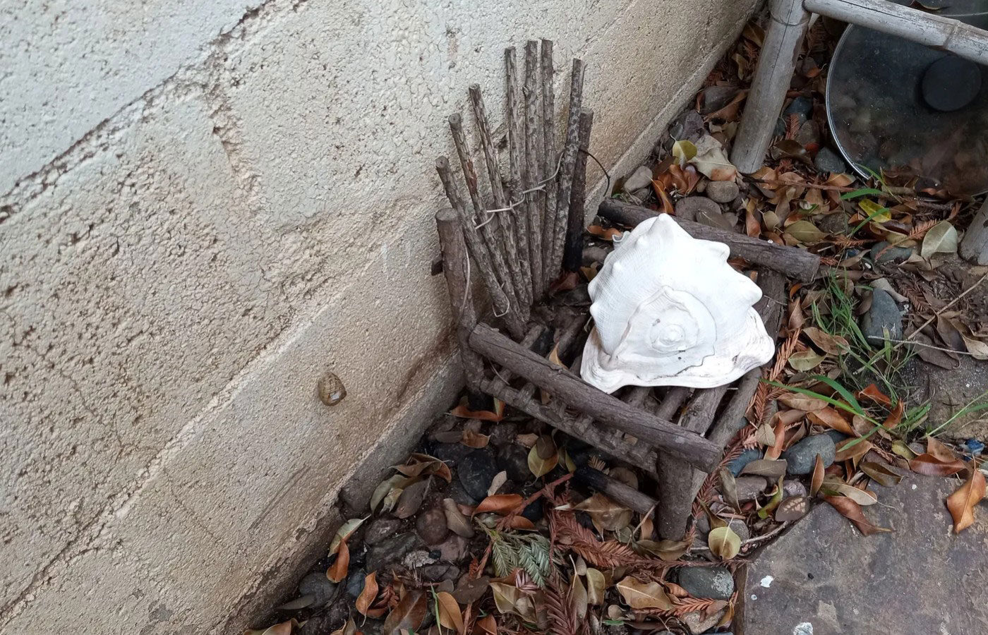 small chair outdoors with a big shell on top